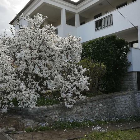 Stella Marina Apartment Umag Luaran gambar